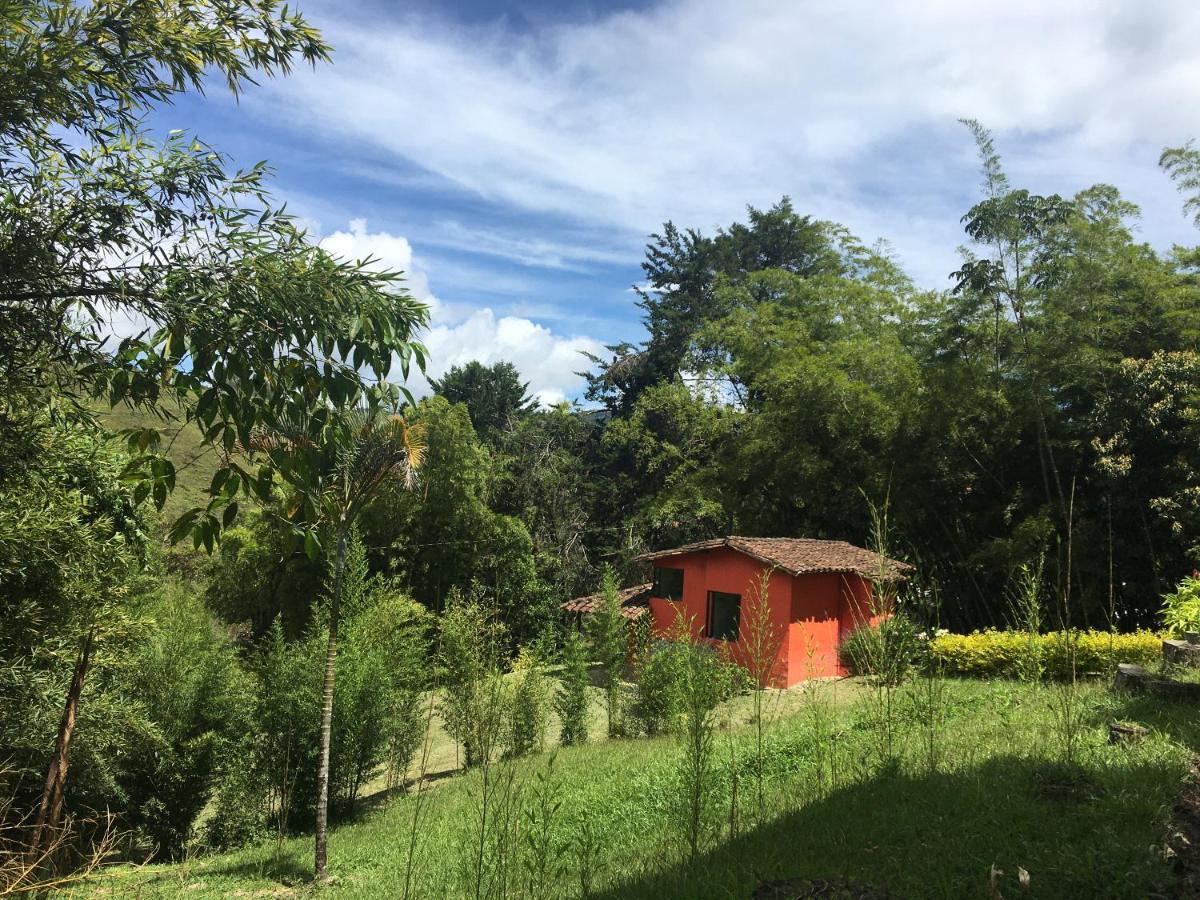 Ecolodge Bahia Del Penon Guatapé Eksteriør bilde