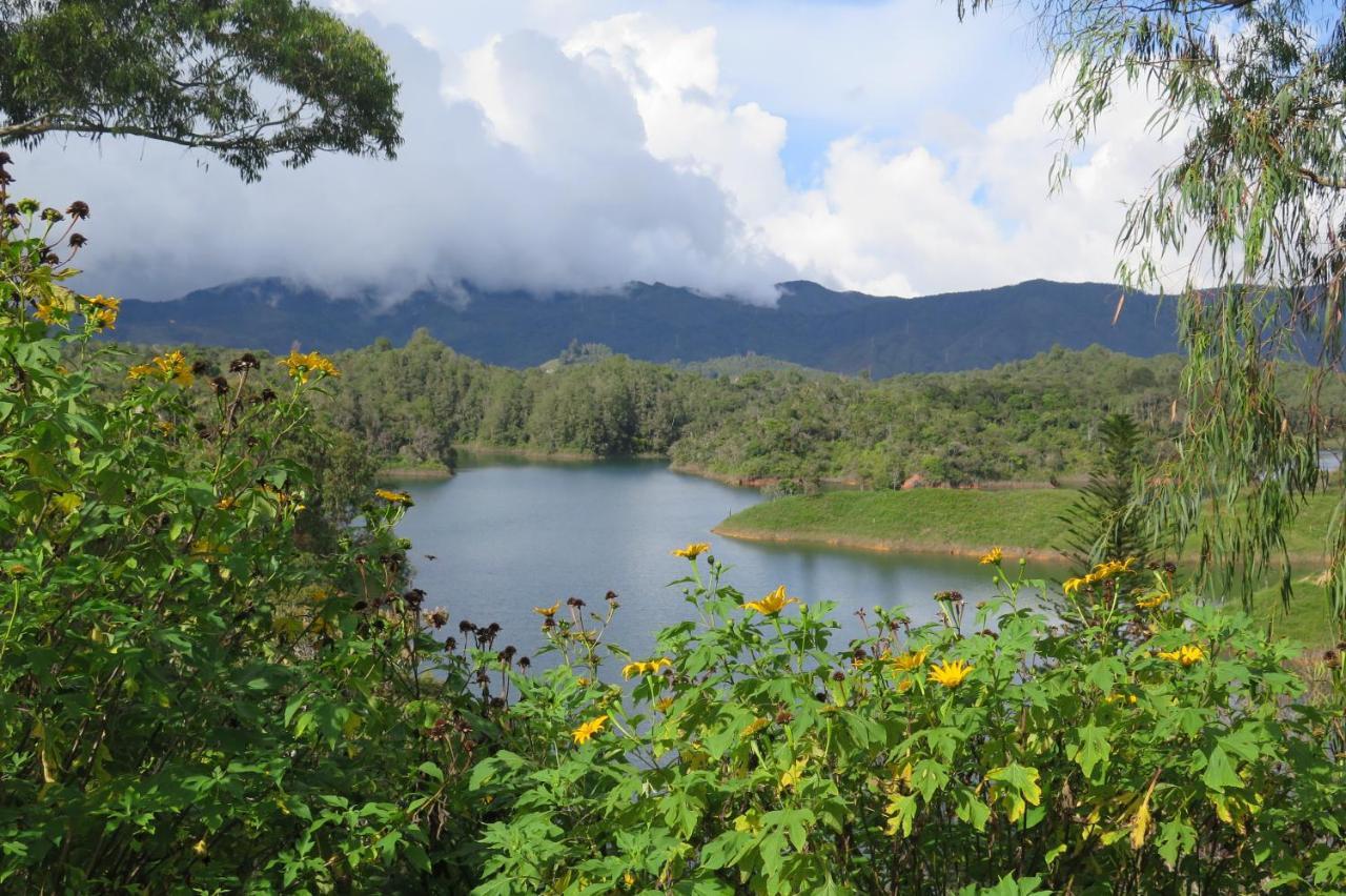 Ecolodge Bahia Del Penon Guatapé Eksteriør bilde