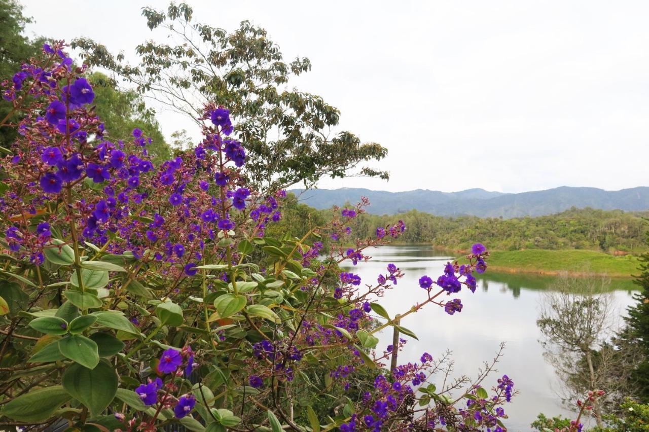 Ecolodge Bahia Del Penon Guatapé Eksteriør bilde