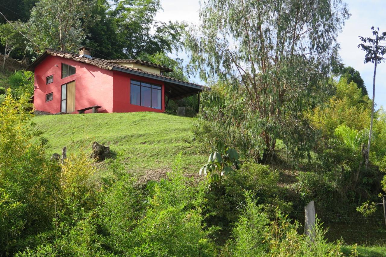 Ecolodge Bahia Del Penon Guatapé Eksteriør bilde