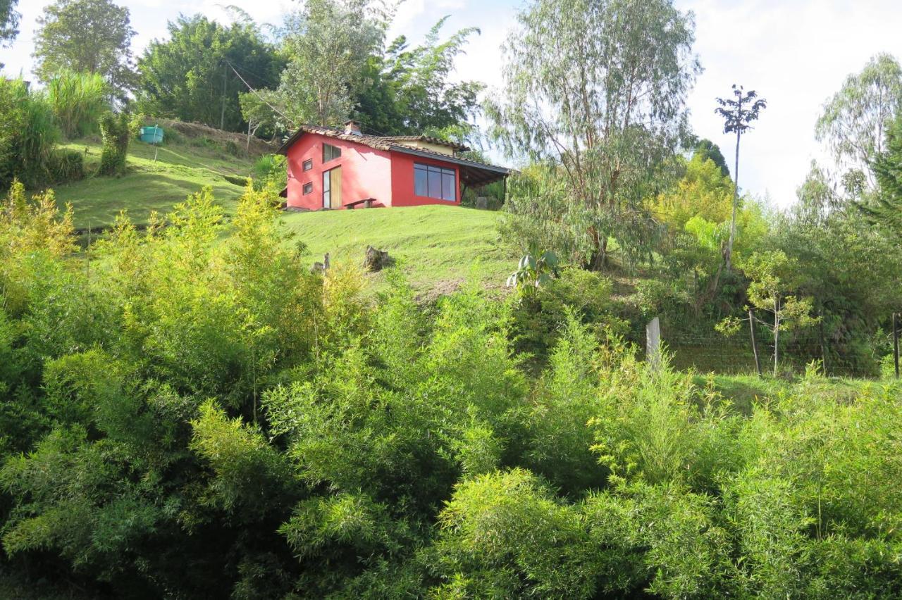 Ecolodge Bahia Del Penon Guatapé Eksteriør bilde