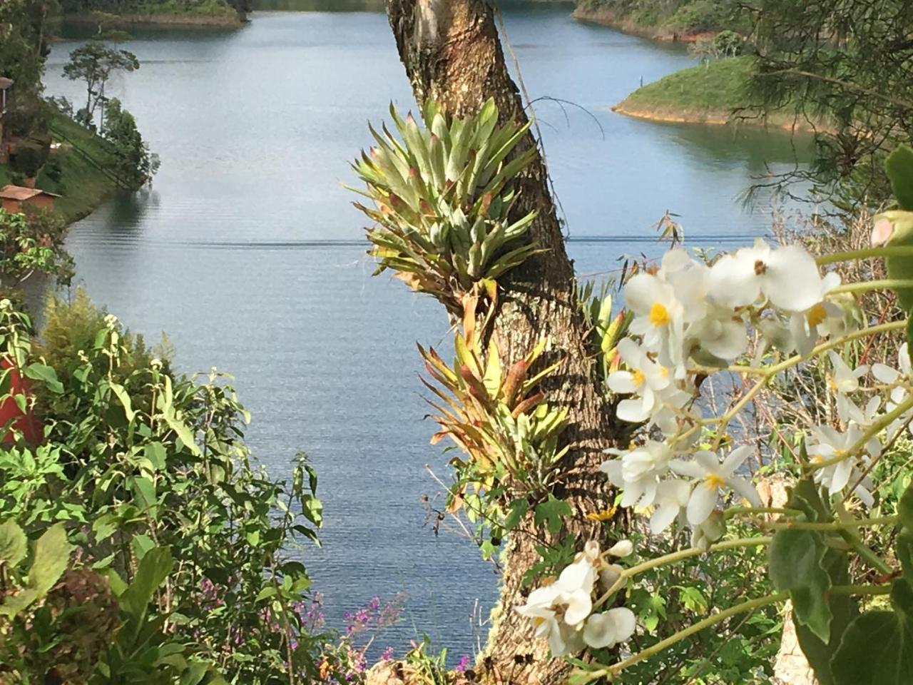 Ecolodge Bahia Del Penon Guatapé Eksteriør bilde