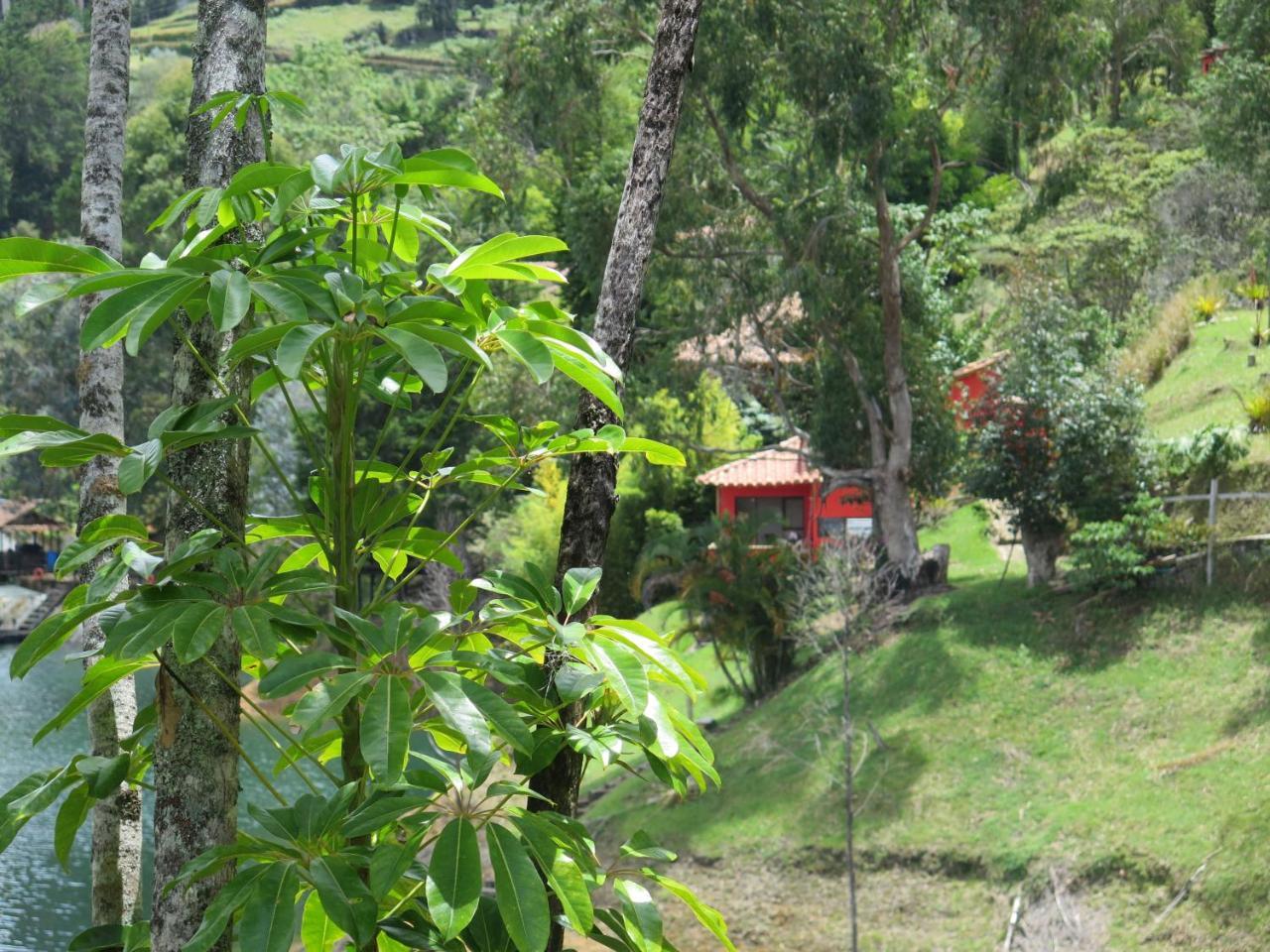Ecolodge Bahia Del Penon Guatapé Eksteriør bilde