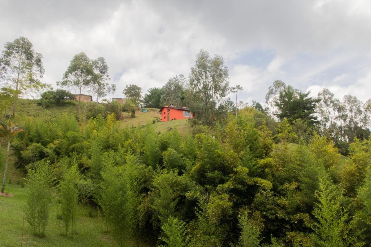 Ecolodge Bahia Del Penon Guatapé Eksteriør bilde